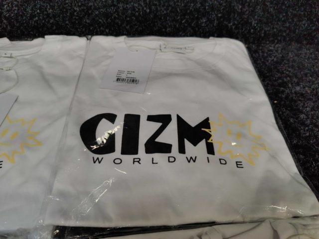 1392968-6 9 st T-shirts Gizmo, Strl L