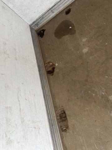 1351298-22 Mercedes-Benz Sprinter 316 BlueTEC Chassi Enkelhytt 7G-Tronic, 163hk -2017