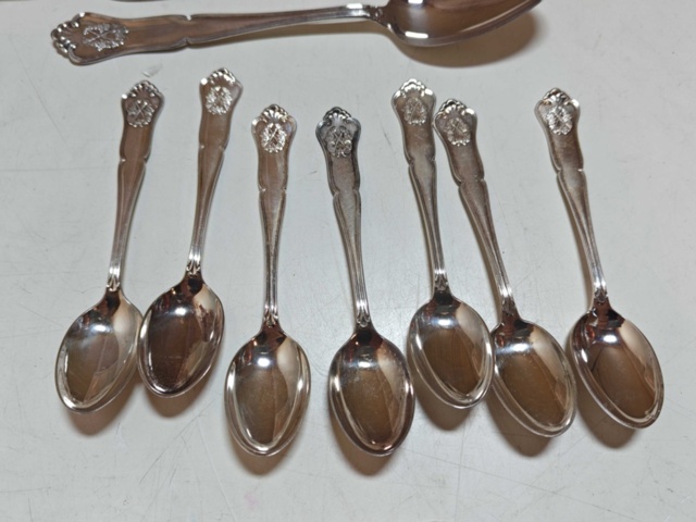 1130242-10 Silverskedar i varierande modeller