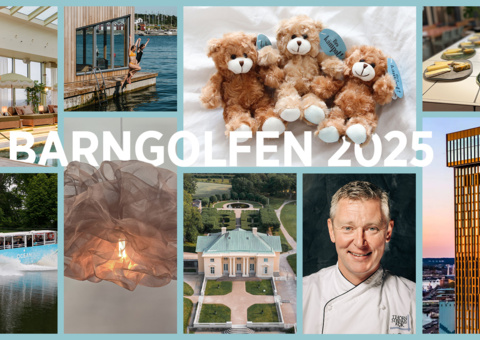 Barngolfen 2025 - Välgörenhetsauktion