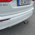 1383175-52 Volvo XC60 Recharge T8 AWD Geartronic, 392hk, 2019