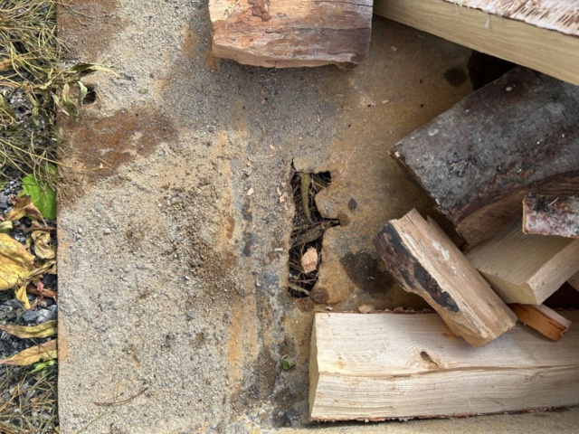 1377989-53 Lastmaskin Volvo BM LM 642, -1983