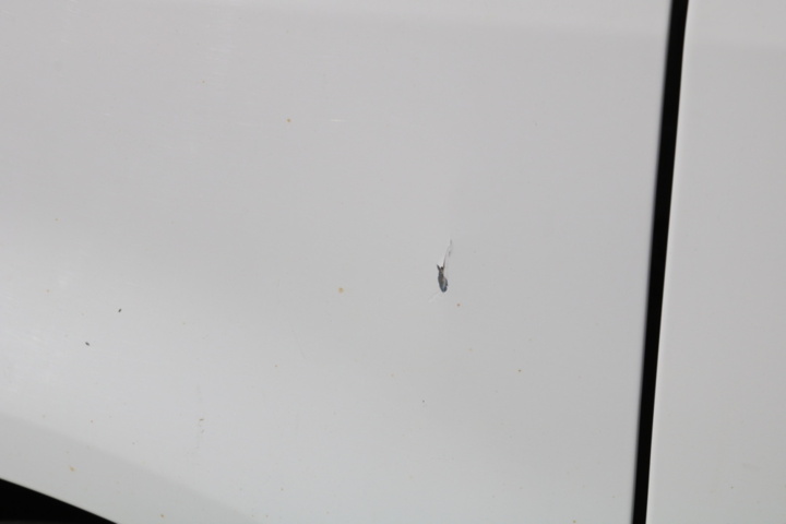 1300822-25 Volkswagen Transporter Kombi T32 2.0 TDI 4Motion DSG 2017 (Reparationsobjekt)