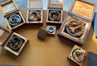 1396352 Cylindrical roller bearings 7 pcs - SKF