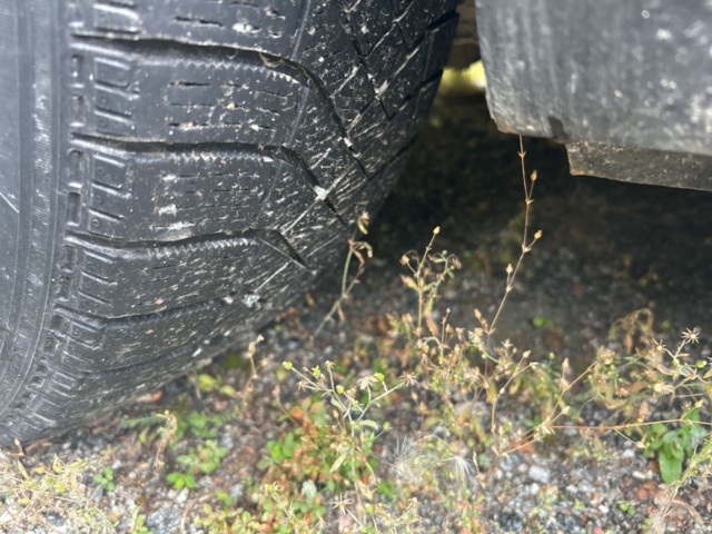 1383192-26 Ford S-Max 2.0 TDCi Powershift, 163hk -2014 (Reparationsobjekt)