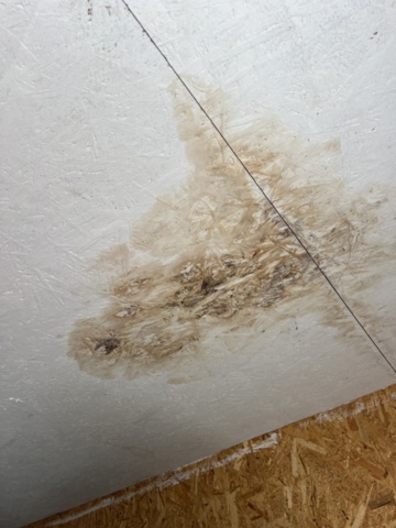 1395595-13 Container 20 fot med innehåll