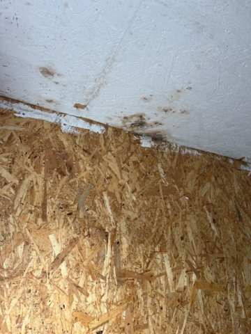 1395595-14 Container 20 fot med innehåll