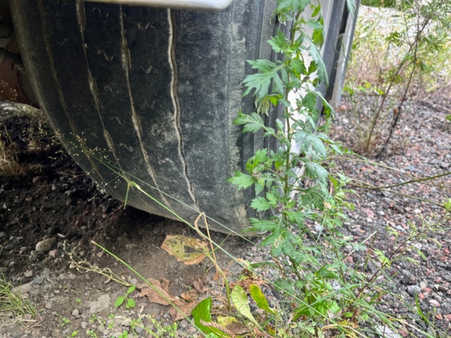 1413420-19 FLISSLÄP KILAFORS SBB4CFTS-36-124 -10