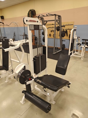 1400488-1 Leg Extension - Life Fitness