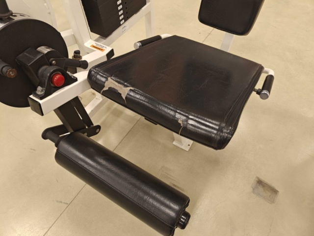 1400488-5 Leg Extension - Life Fitness