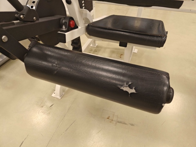 1400492-6 Seated Leg Curl - Life Fitness