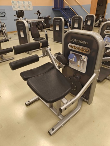 1400493-1 Seated Leg Curl - Life Fitness
