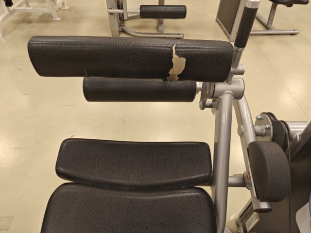 1400493-4 Seated Leg Curl - Life Fitness