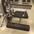 1400493-5 Seated Leg Curl - Life Fitness