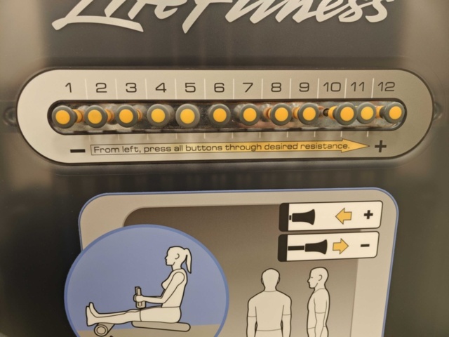 1400493-6 Seated Leg Curl - Life Fitness