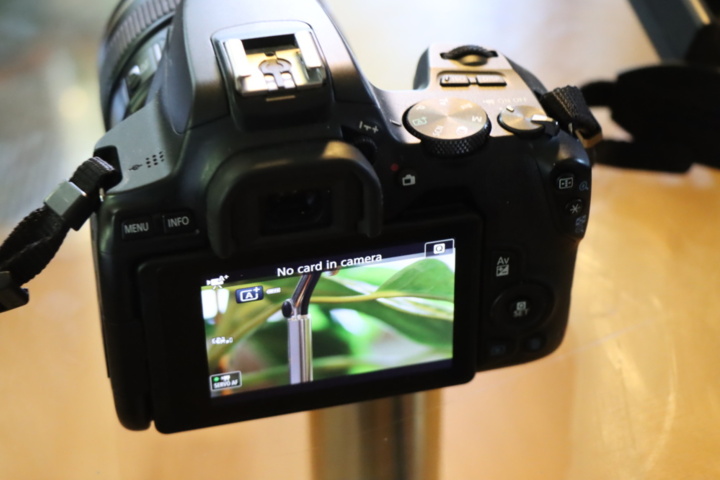 1295628-6 Kamera Canon EOS 250D med objektiv 85mm