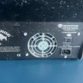 1385799-9 Road Hog full boar, med 8st  Studio Spot 575  Color Mix Light