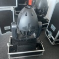 1385799-16 Road Hog full boar, med 8st  Studio Spot 575  Color Mix Light