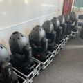 1385799-17 Road Hog full boar, med 8st  Studio Spot 575  Color Mix Light