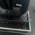 1385799-18 Road Hog full boar, med 8st  Studio Spot 575  Color Mix Light