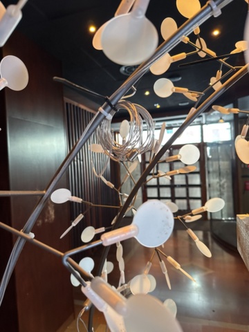 1355371-6 Ljuskrona 1 st - Moooi Heracleum The Big O