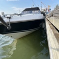 1361223-3 Sunseeker 39 Cobra, Volvo Penta KAD 43 Diesel - 1988