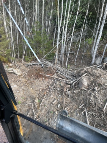 1383248-37 Volvo EW160D med tre skopor & gafflar *Uppdaterad auktion*