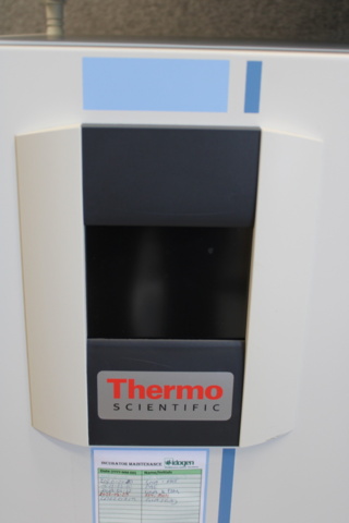 1410605-5 Co2 inkubator x 2 Heracell 150i 2017