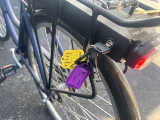 1395654-8 Elcykel Raleigh Darlington 1308 -2019