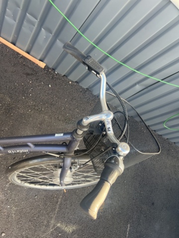 1395655-6 Elcykel Raleigh Darlington 1308 -2019