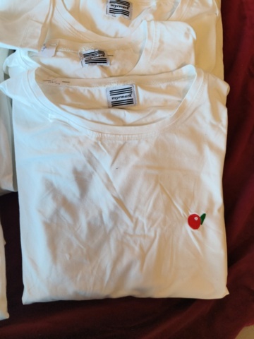 1331914-11 Clothing section with t-shirts and pants