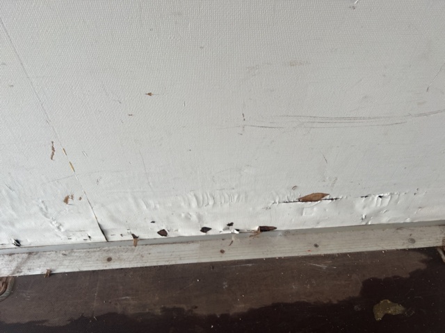 1395668-28 Skåpsläp Sävsjösläpet SSLV 1100 4 (Reparationsobjekt)