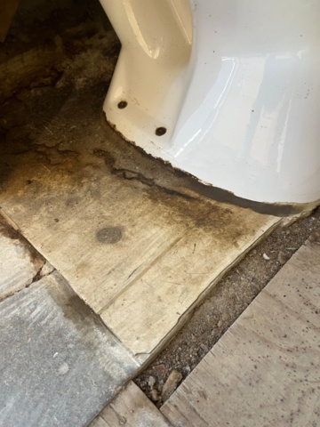 1421557-11 20” containerbod isolerad, dusch, wc