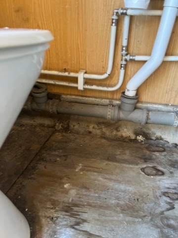 1421558-5 20” containerbod isolerad, dusch, wc