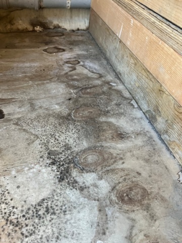 1421558-12 20” containerbod isolerad, dusch, wc