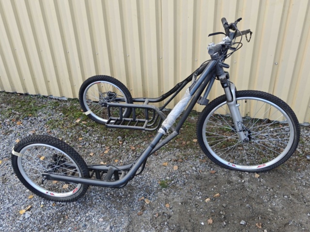 Dog-drawn bicycle Rowerland - PS Auction - We value the future ...