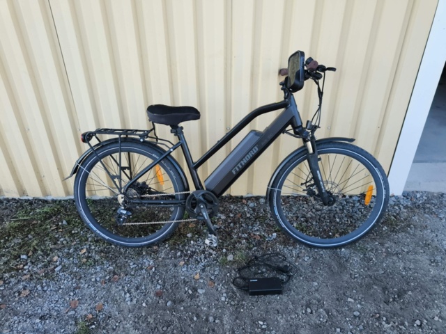 1331940-1 Elcykel FitNord Ava 300
