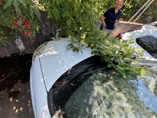 1425551-4 Peugeot Partner Van Utökad Last 1.6 BlueHDi Manuell, 99hk -2017 (Reparationsobjekt)