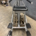 1429582-13 Chins/Dip Stand Gravitron Nautilus Nitro Evo