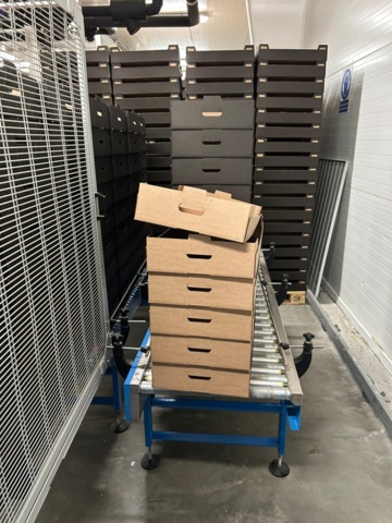 1343867-18 Kartongresare TECO FT2K – Årsmodell 2021