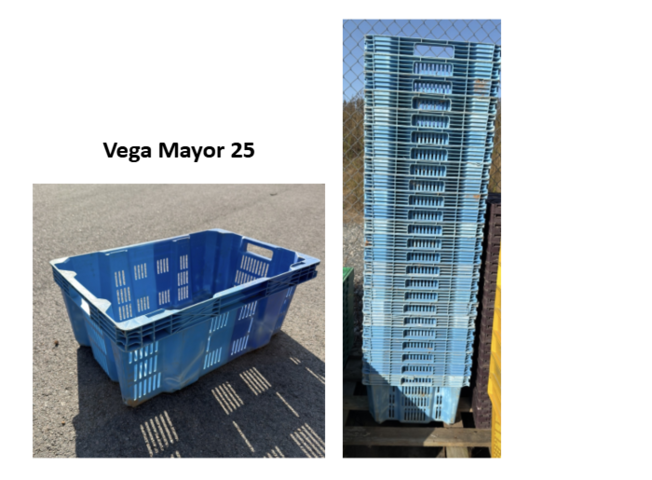 1343875-1 25 st plastlådor Vega Mayor – blå, stapelbara