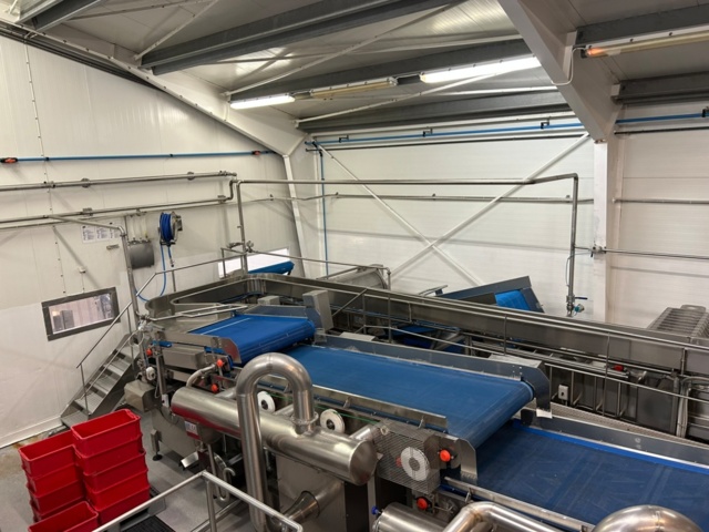 1343881-13 Komplett Turatti tork- och kyl-linje för sallad och bladgrönsaker