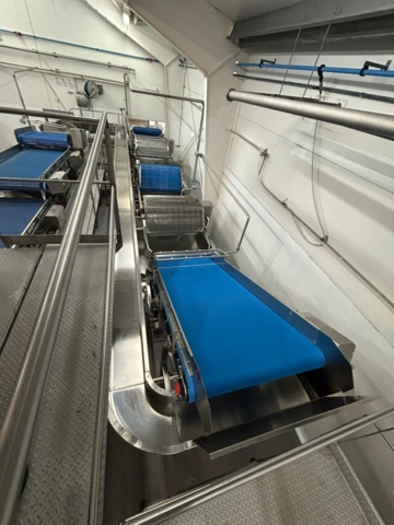 1343881-28 Komplett Turatti tork- och kyl-linje för sallad och bladgrönsaker