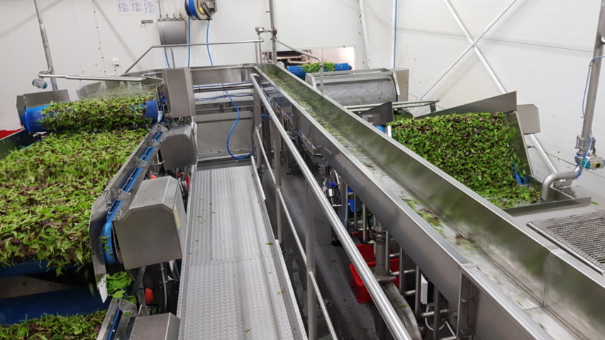 1343881-69 Komplett Turatti tork- och kyl-linje för sallad och bladgrönsaker