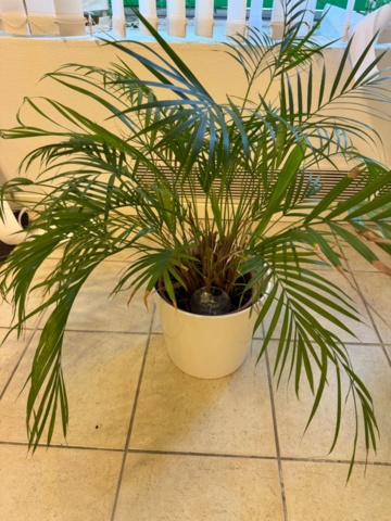 1199663-21 Innehåll i rum enligt bilder