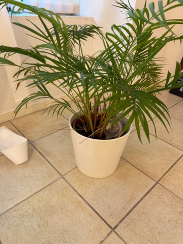 1199663-22 Innehåll i rum enligt bilder