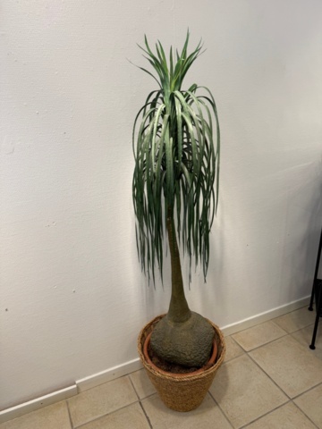 1199663-28 Innehåll i rum enligt bilder