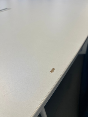 1368147-7 Konferensbord med konferensstolar 20 st - RBM