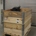1388922-1 Pallet with screens, label printers, hand scanners, etc.