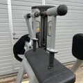 1427434-5 Tricepsmaskin – Freemotion
